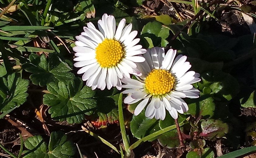 Tue Dir was Gutes – Teil&nbsp;6